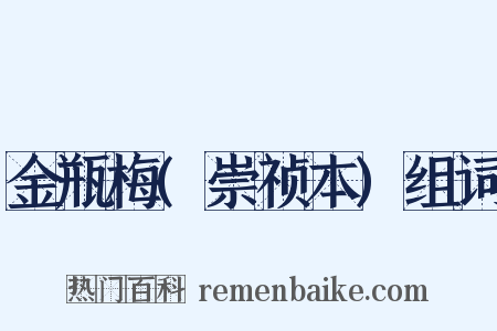 金瓶梅(崇祯本)组词是什么意思的图片